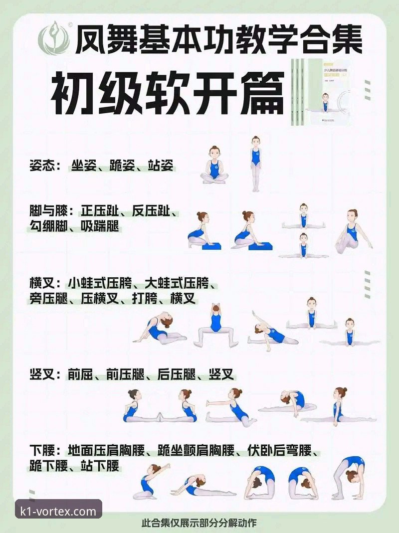 K1体育2025版全面解析：新手从入门到精通的操作指南